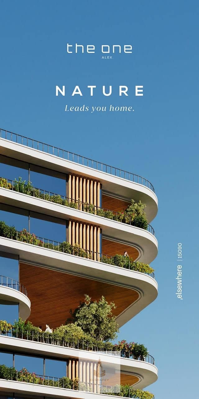 17 IMG-20260125-WA0026. jpg