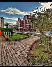 5 download (100). jpg