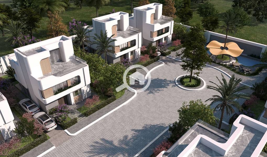 3 زايد جرينز 1. jpeg