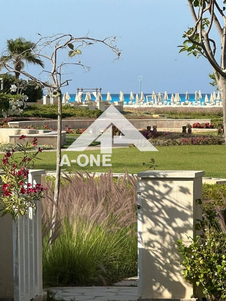 2 d92cb251-428f-4531-9856-b36ca989843a. jpg