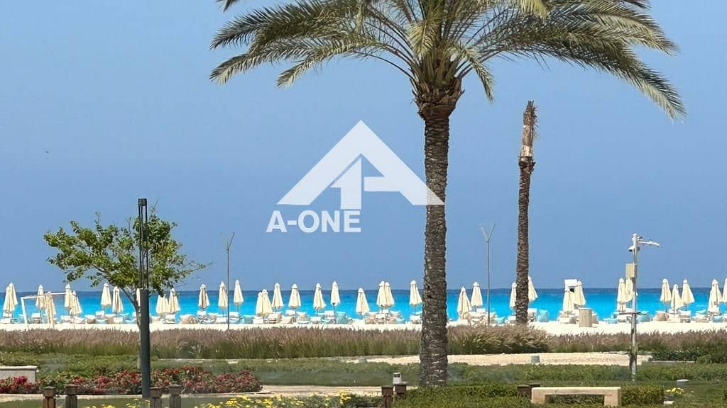 4 c87bc243-ec0d-4945-97c0-8620ad65c1b1. jpg