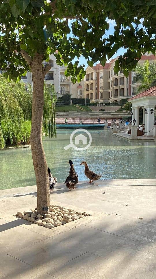 15 WhatsApp Image 2025-09-29 at 1.14. 31 PM (1). jpeg