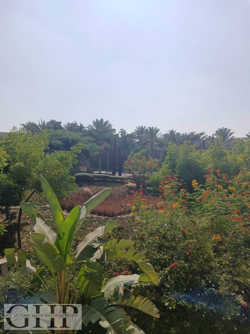 12 WhatsApp Image 2026-01-25 at 2.31. 30 PM (6). jpeg