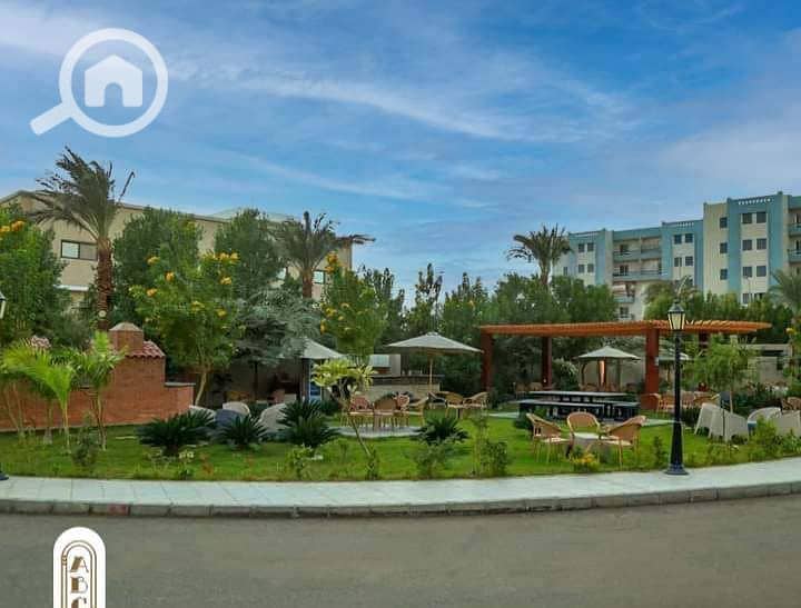 6 53495141-1dc7-492f-8c14-d0efe90c84a5. jpg