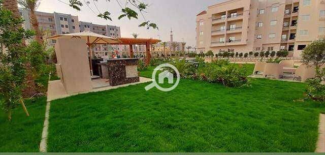 7 dbccfa07-b80a-49e9-8591-b3aabb78d8e1. jpg