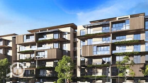 5 WhatsApp Image 2025-10-12 at 21.30. 33_543641e2. jpg