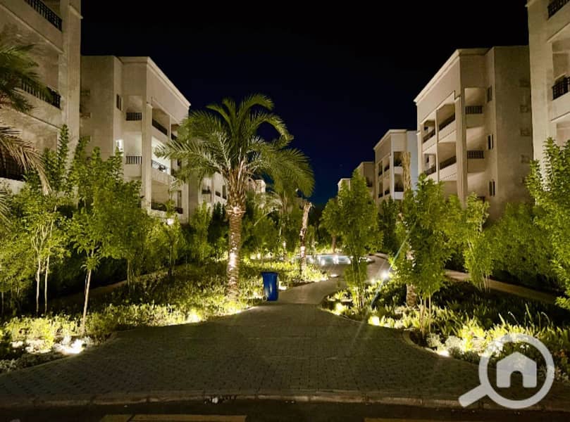 6 59474a37-28db-41ed-86fd-efd3639204d4. jpg