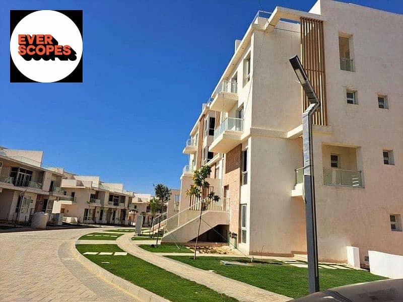 11 408153825_1547888275957096_4415444293547184466_n. jpg