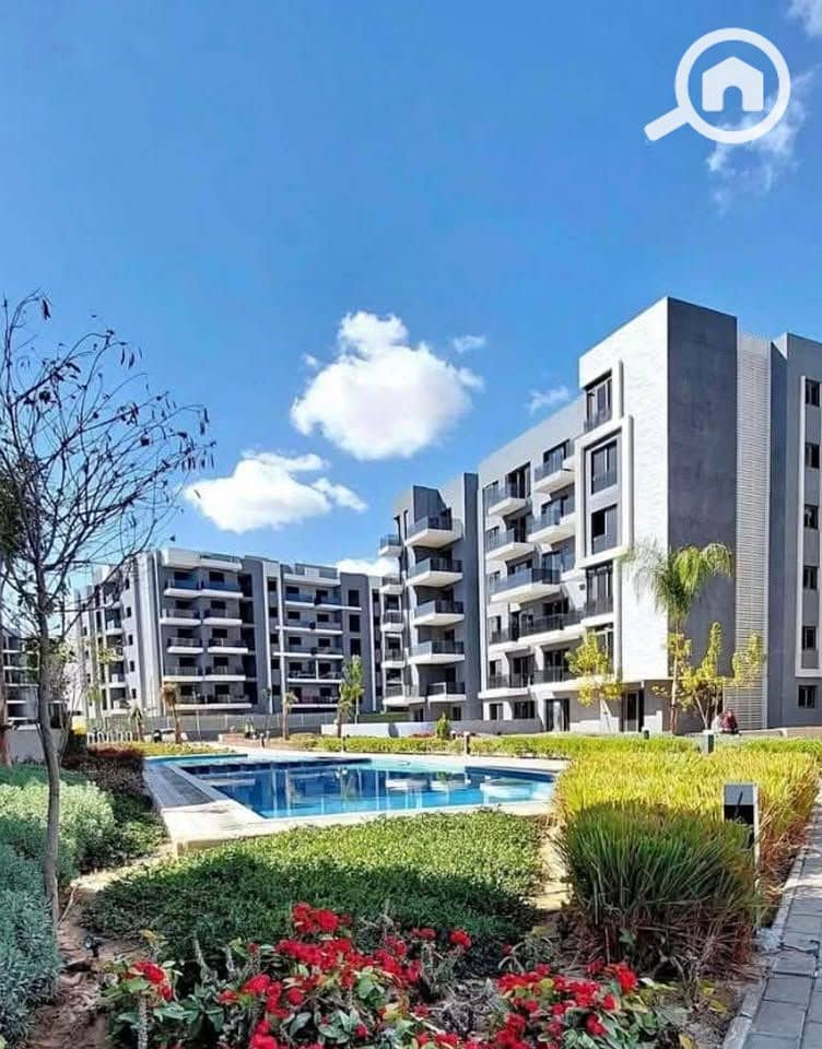 10 565139285_122199561326301051_4886518440359802351_n. jpg