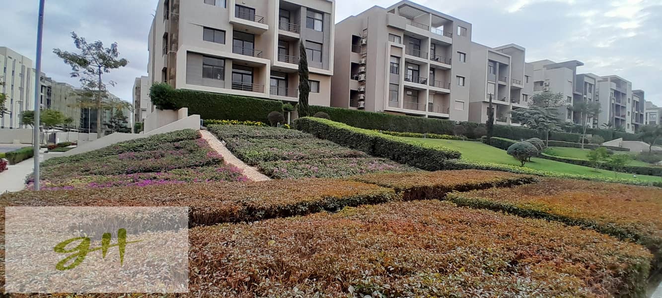 5 20251229_144242. jpg