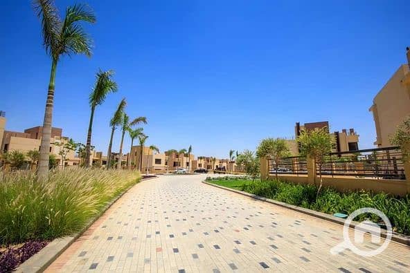 3 457070379_1223539155621491_4325972435720557000_n. jpg