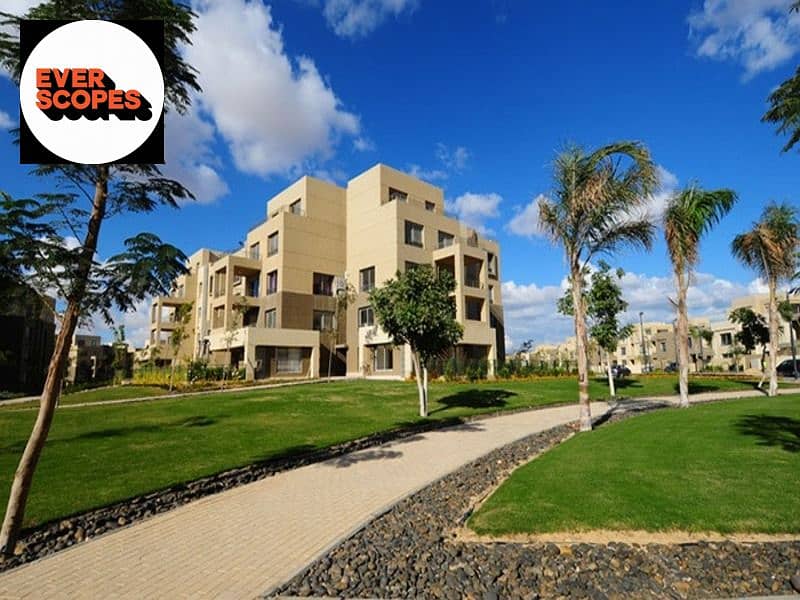 2 Properties-For-Sale-in-palm-parks. jpg