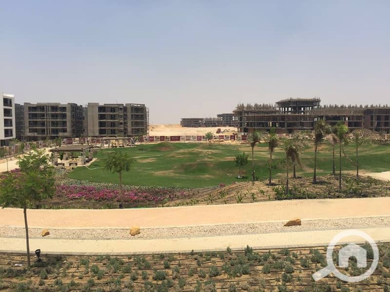 4 IMG-20251027-WA0049. jpg