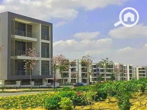 6 IMG-20251027-WA0053. jpg