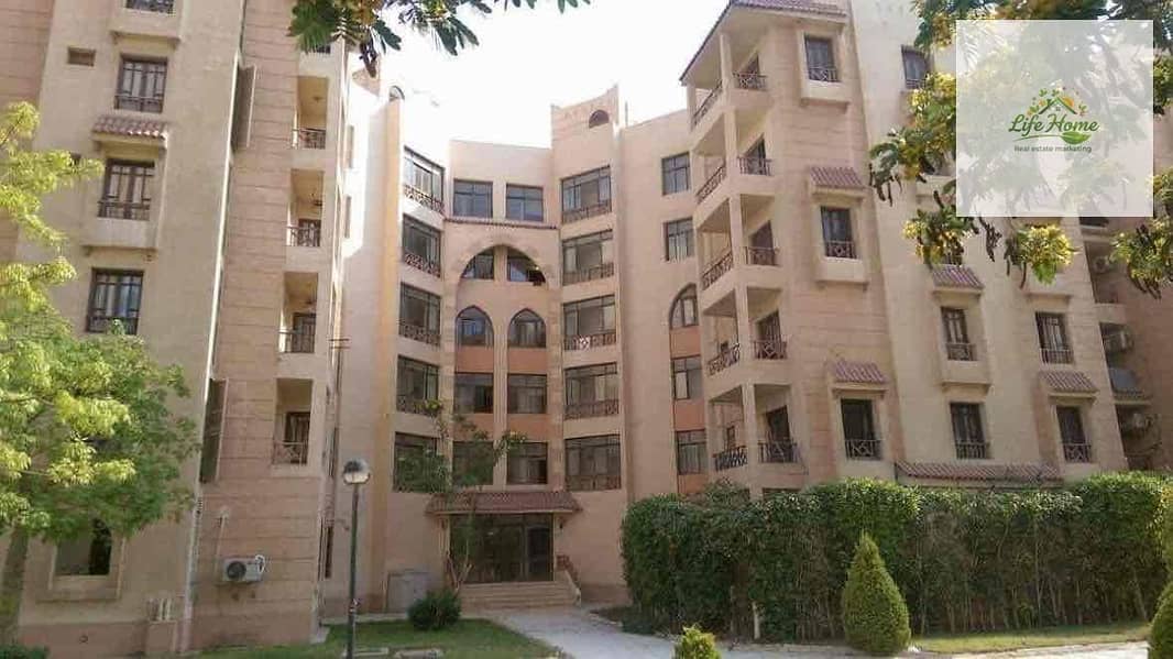 4 04f64fcb-7da5-4205-8769-94f40cbaf2f5. jpg