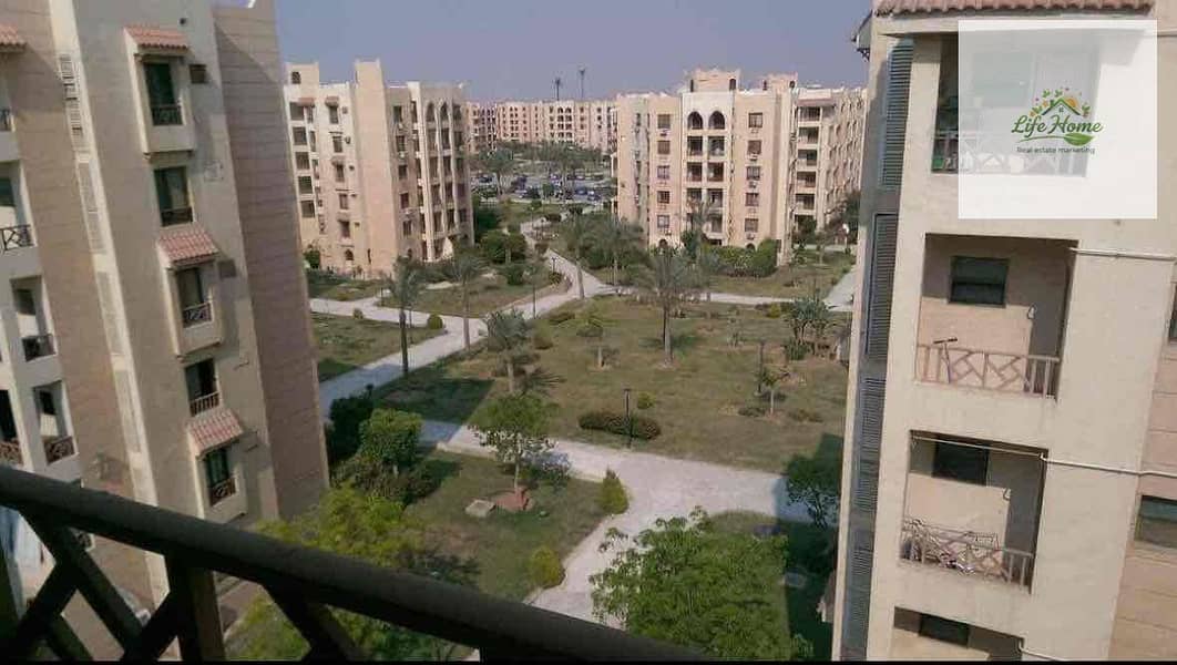 7 9f1ad019-48bc-475b-b265-b3bf5afcd13b. jpg