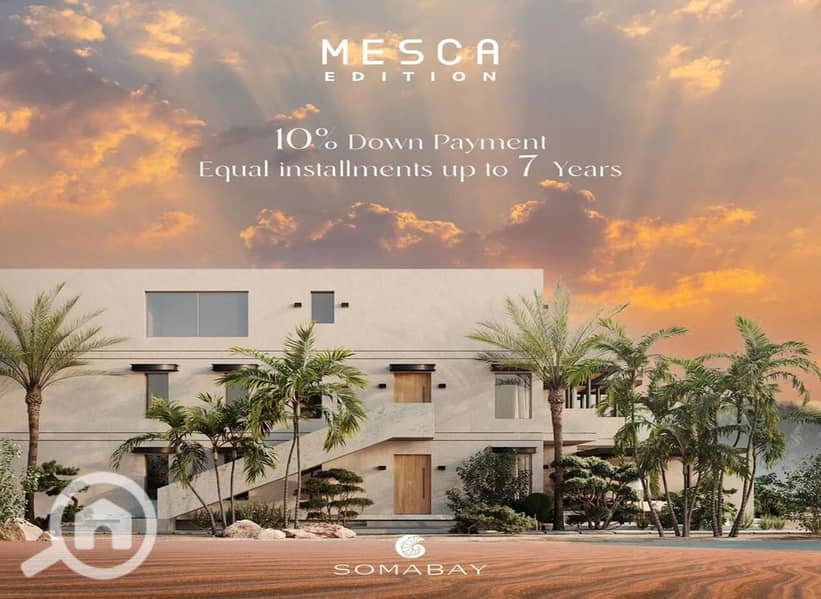 3 7f9c4e7a-4352-4a4b-b351-4743f556fa18. jpeg