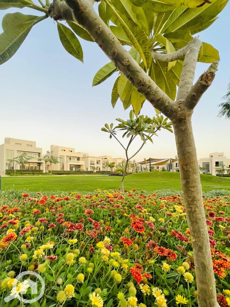 5 IMG-20241211-WA0010. jpg