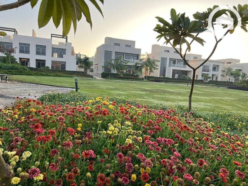 8 a915d768-0543-426a-b372-8a5c2eb43e94. JPG