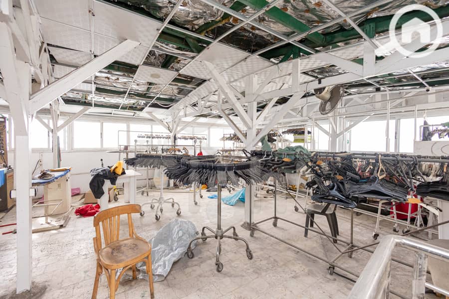 16 (20) IMG_1029. jpg