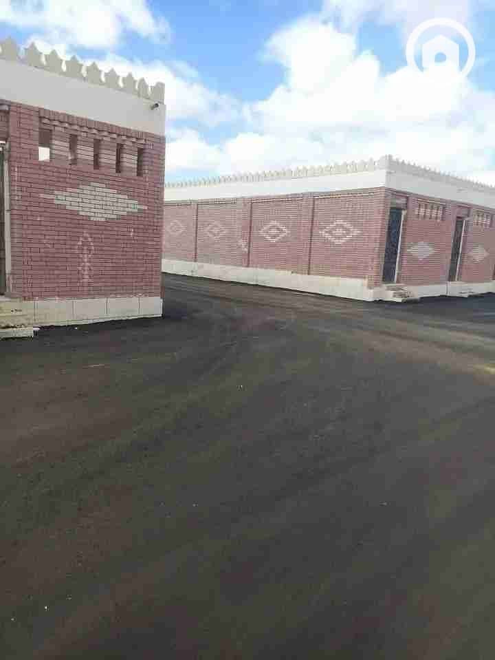 4 3b264556a7e690b699a4723d349b9decd23331dc. webp