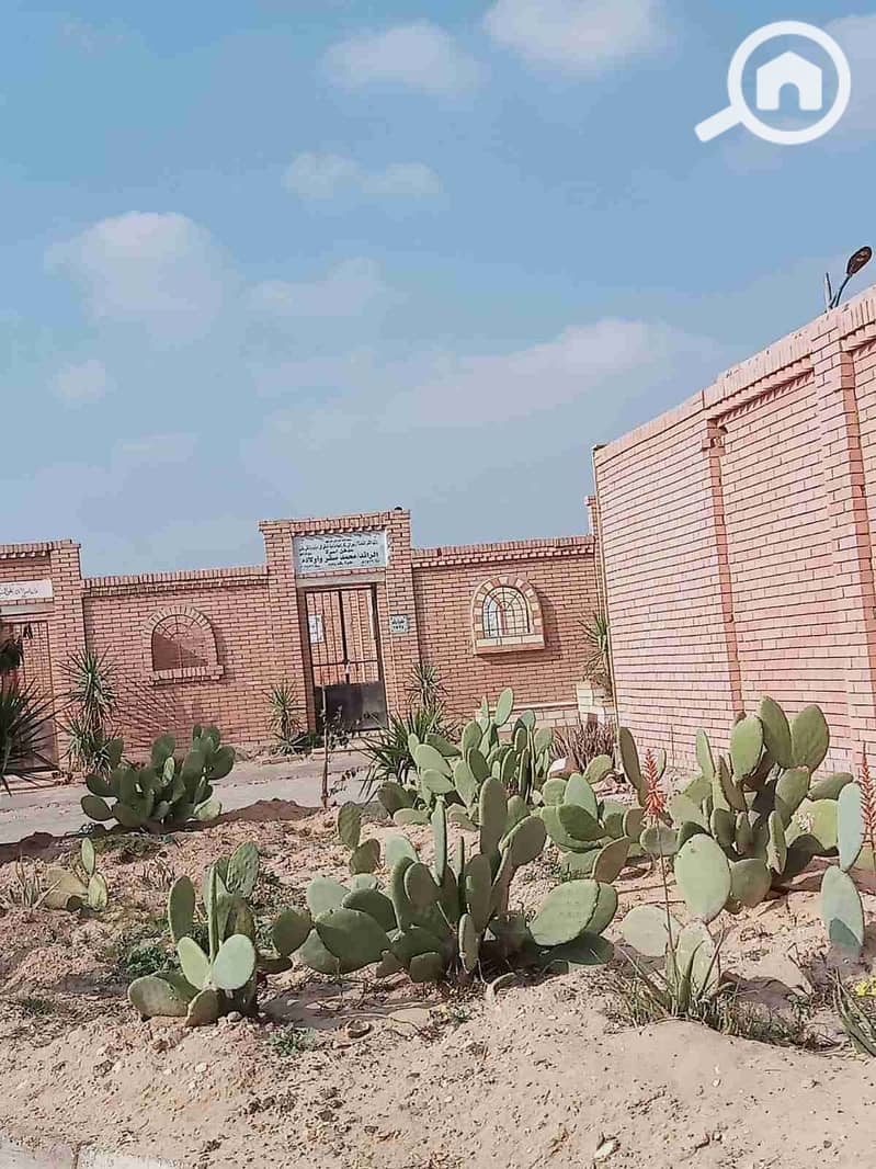 9 IMG-20260115-WA0139. jpg