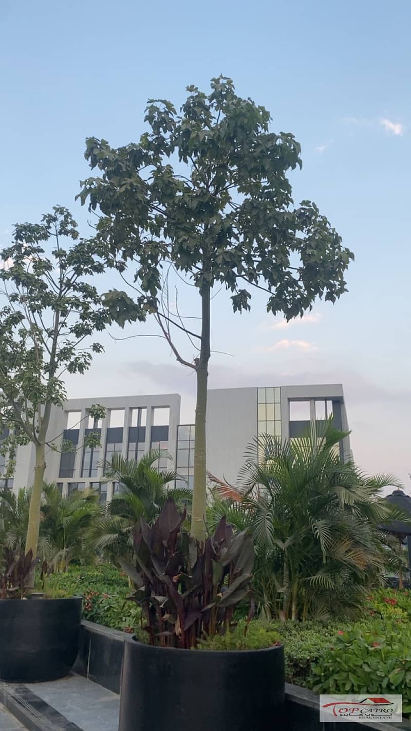 13 WhatsApp Image 2026-01-20 at 4.11. 18 PM (4). jpeg