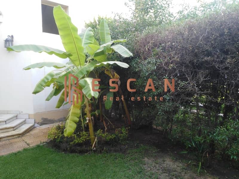 12 WhatsApp Image 2024-09-01 at 3.40. 31 AM (3). jpeg