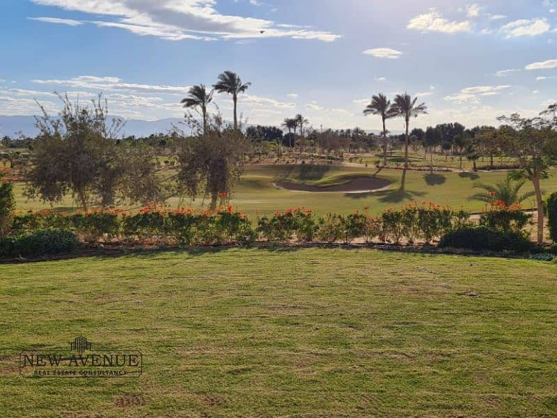 6 31239cbe-fc26-40f0-9957-74f916d7c826. jpg