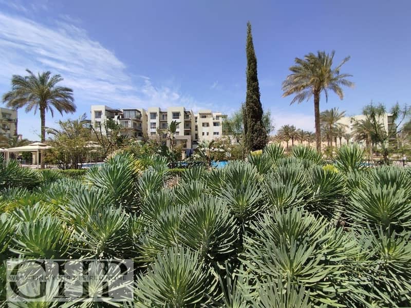 10 WhatsApp Image 2024-07-15 at 13.23. 32_600a4a66. jpg