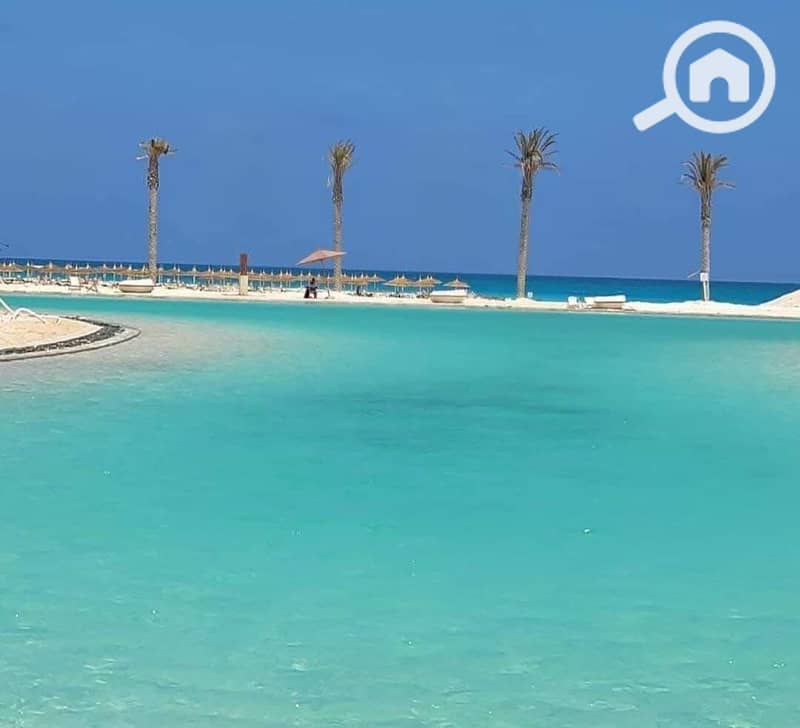 5 WhatsApp Image 2025-01-25 at 1.07. 39 PM. jpeg