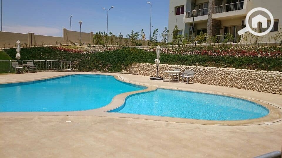 12 DSC_0056_resized_20170424_012948310. JPG