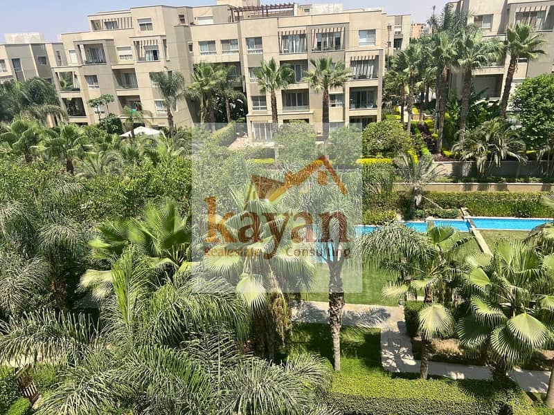 3 5837068496561881800. jpg