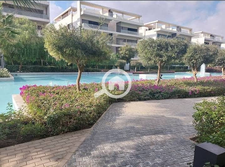 9 528815641_737171522565566_6352284647387589000_n. jpg