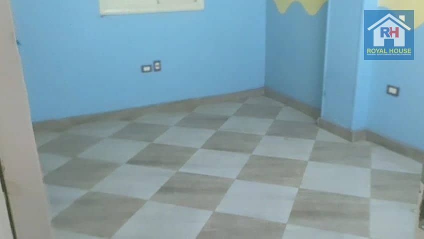 3 221d213a-e918-4e6e-93c4-256f57007728. jpg