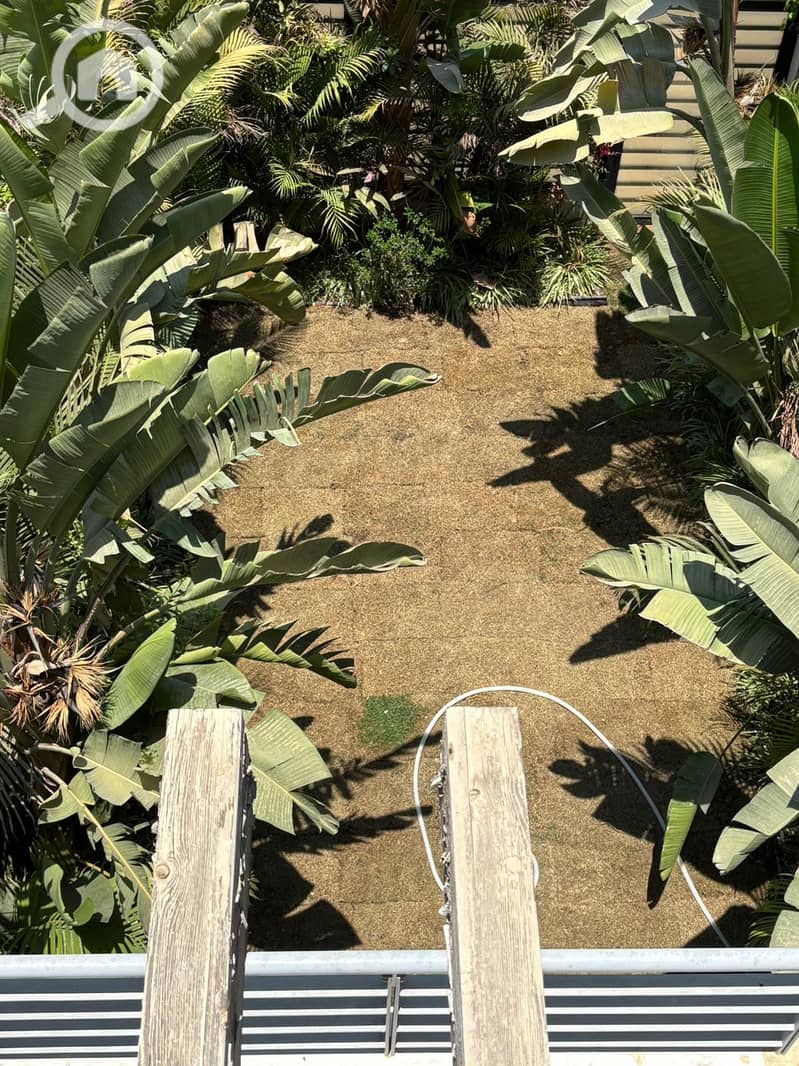 13 d059443c-a211-4cb6-b7a0-7d79b3eabb10. jpeg