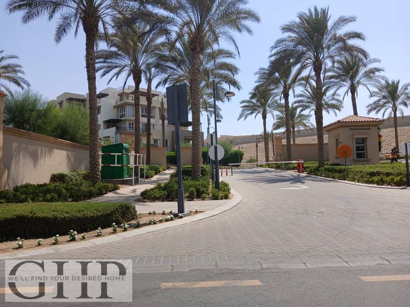 13 58caa514-06a3-4206-a520-79b4284fe60b. jpg