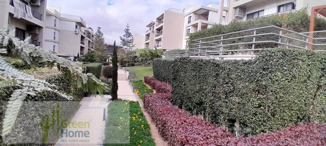 4 20251229_141249. jpg