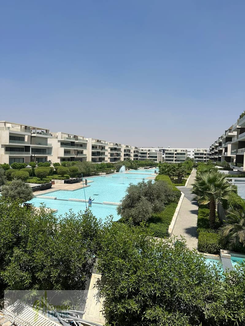 4 11e77472-6f34-4d0c-b5e8-1444dc8a3a97. jpg