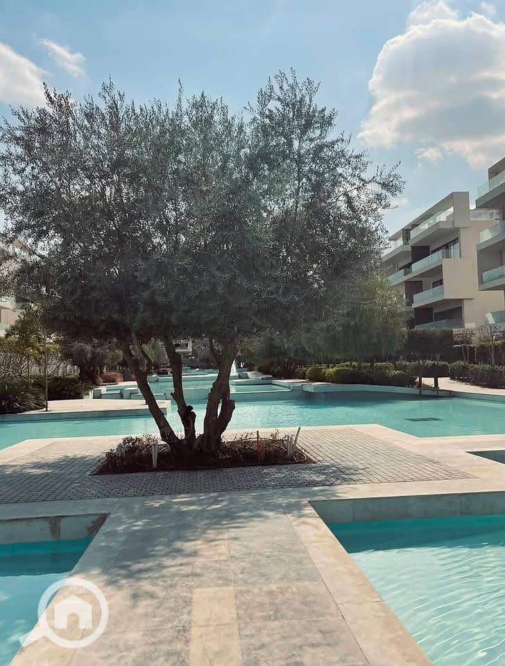 6 526933139_1803142473943086_1819859979377225308_n. jpg