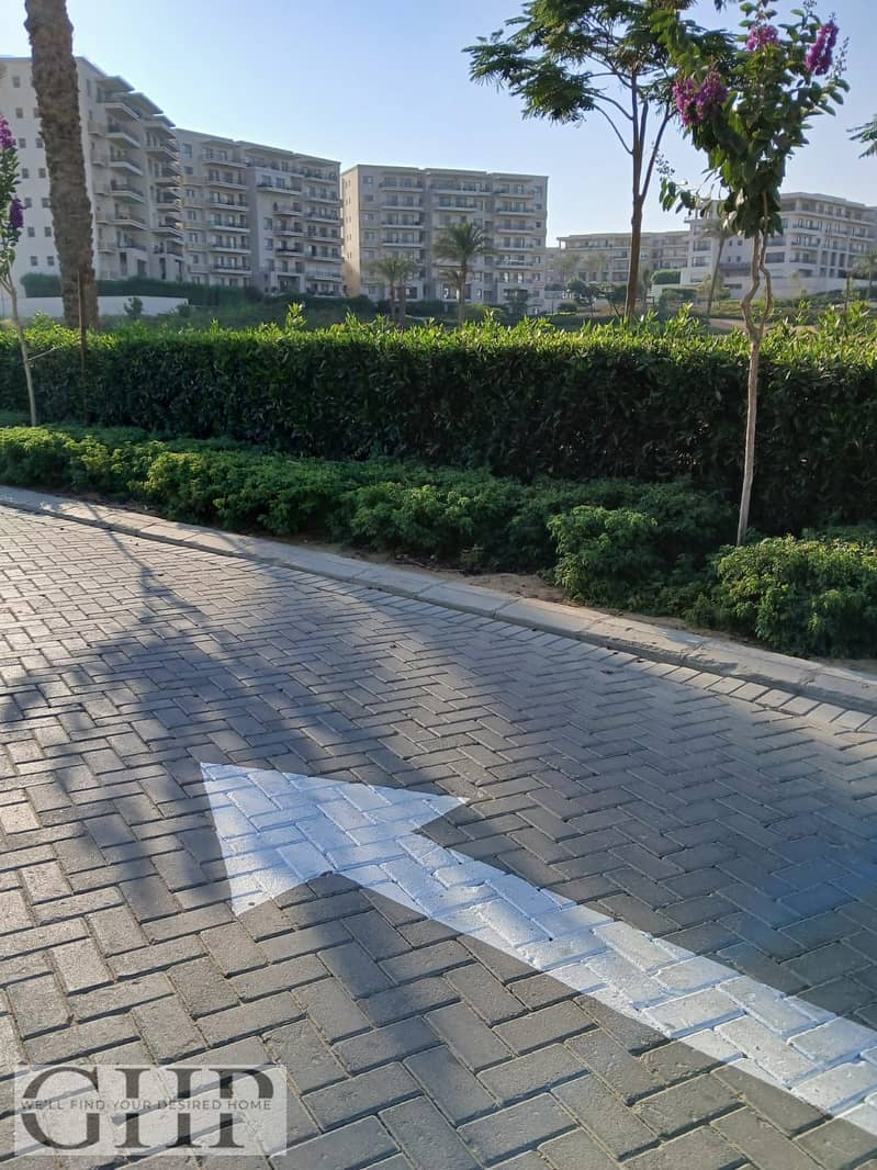 5 510bebf6-df0d-4fad-8e41-23b8c1e43212. jpg