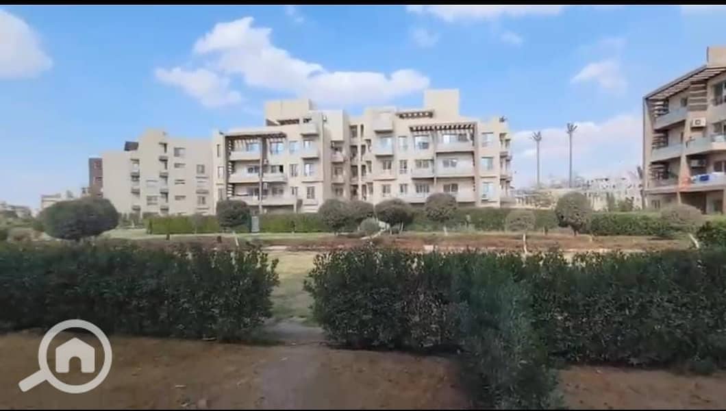 2 35d019c5-197e-42fb-bebf-9e56e7f6bc39. jpeg