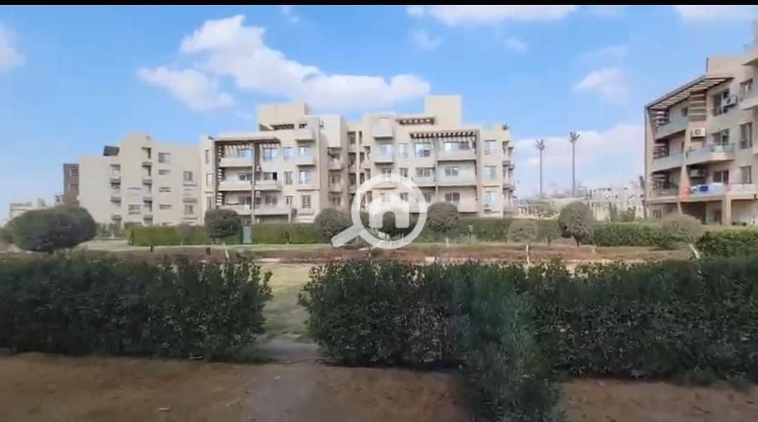 10 2f36c5d4-d166-4c35-a8d5-f15b1d76ff59. jpeg