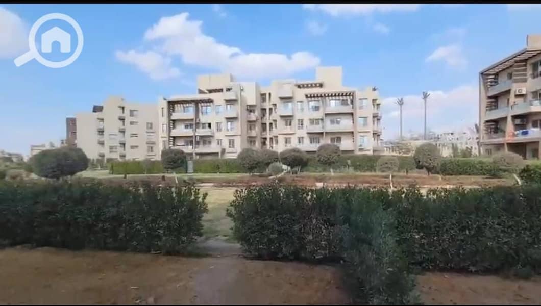 11 35d019c5-197e-42fb-bebf-9e56e7f6bc39. jpeg