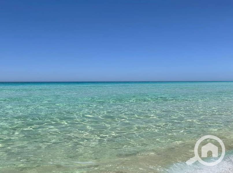 9 Screenshot 2026-01-21 135024. png