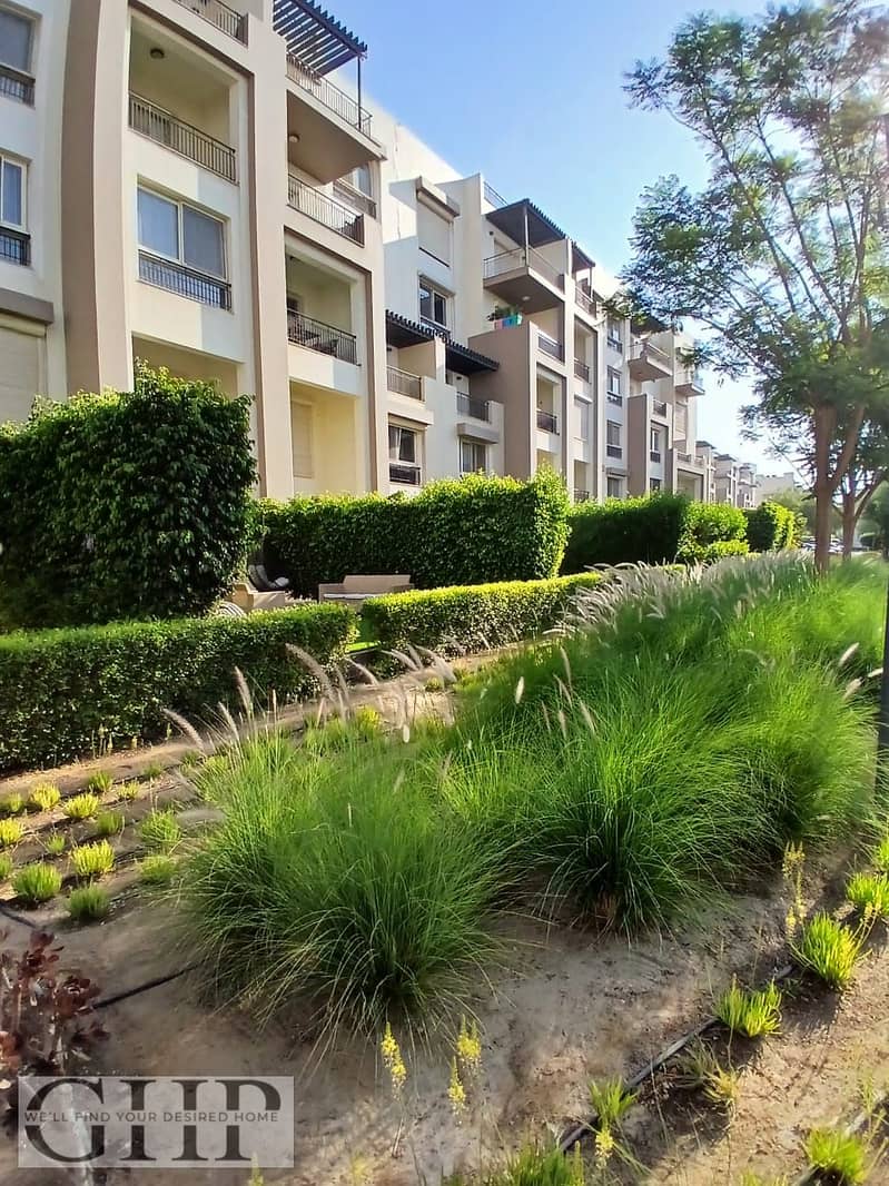 8 845ef6d8-d3c8-43f0-ab43-917ec1f59a69. jpg