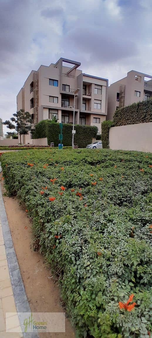 10 20251229_145342. jpg