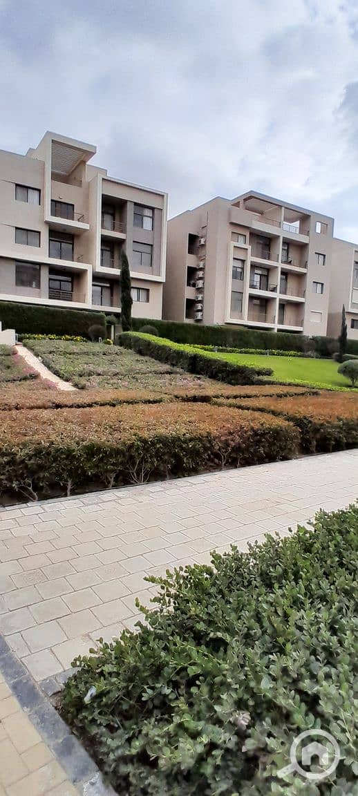 9 20251229_144233. jpg