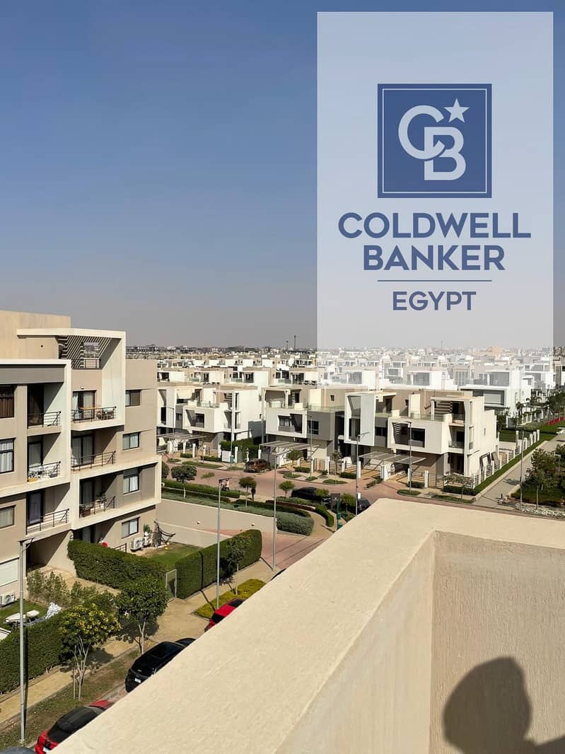 3 bd2cf65f-993c-468c-af06-7cb0a99ac0f6. jpg