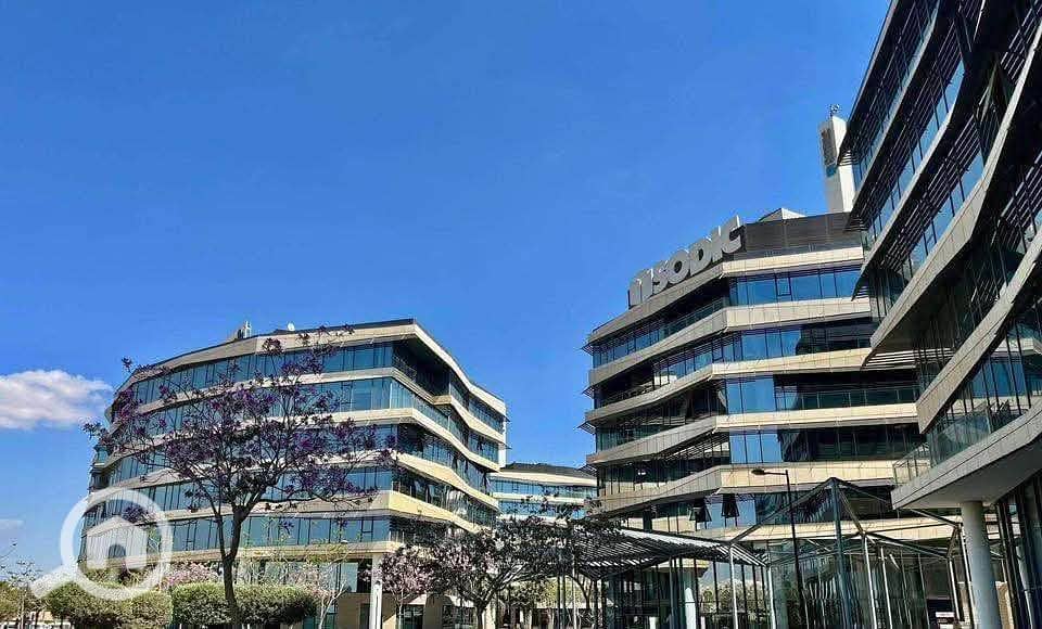 4 614776172_5157320334493127_3332073313086668103_n. jpg